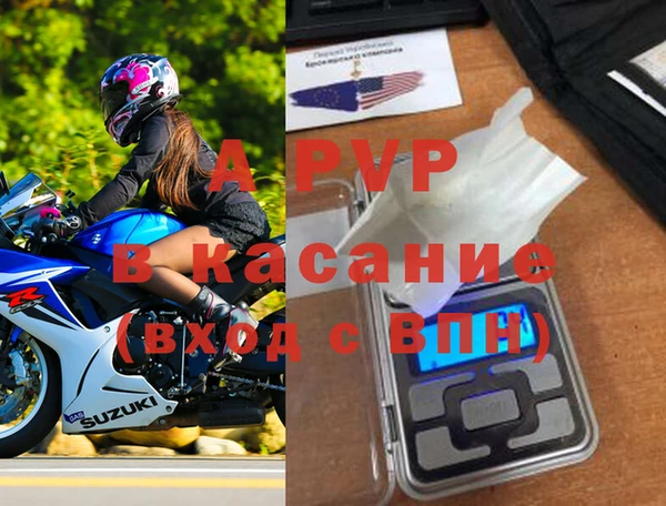 стафф Абинск