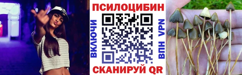 Галлюциногенные грибы прущие грибы  Ковдор 